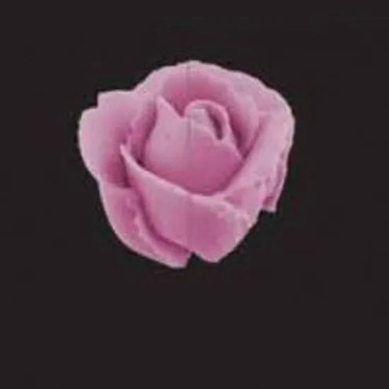 Spuitmondje Giant Rose / Petal / Ruffle Nozzle #127D