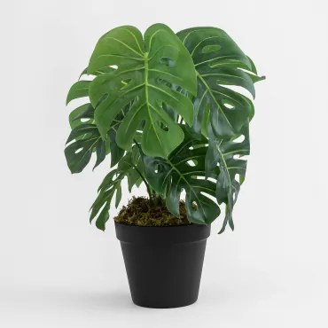 Decoratieve Kunstplant ↑35 Cm Monstera ↑35 Cm - Sklum