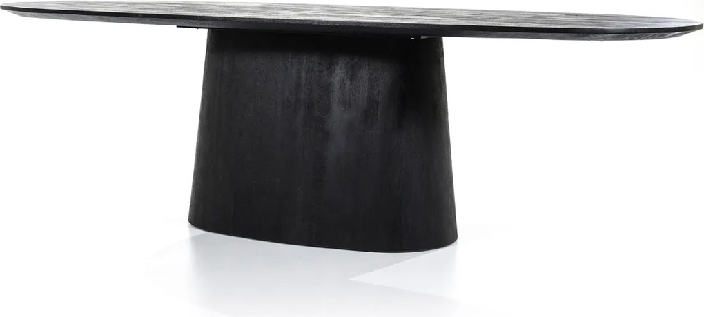 Ovale Eettafel Zwart 250 Cm - 250 X 110cm.