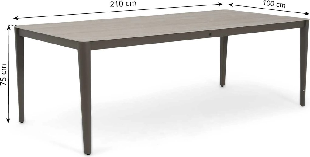 Dining Tuintafel rechthoekig 210x100 cm Taupe Livo