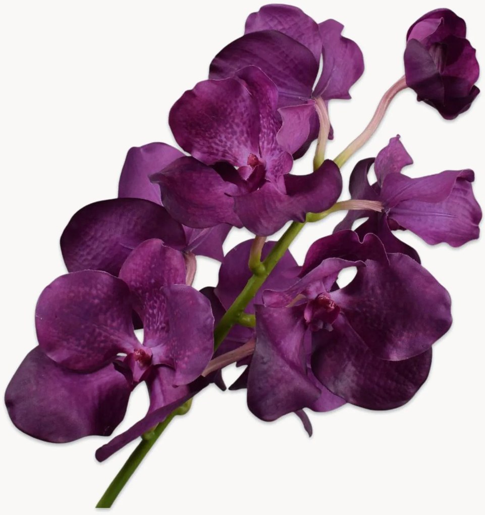 Kunstbloemen Vanda, 2-delig