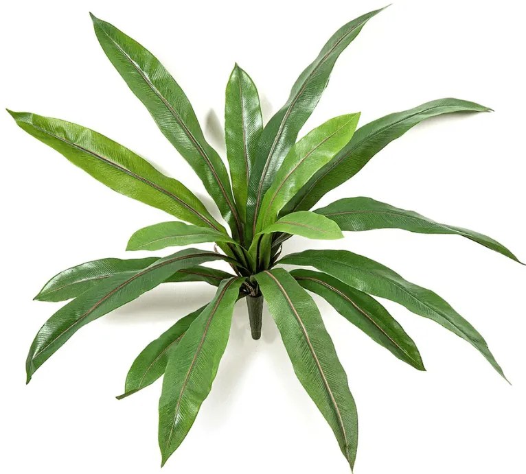 Varen Asplenium kunstplant - 40 cm