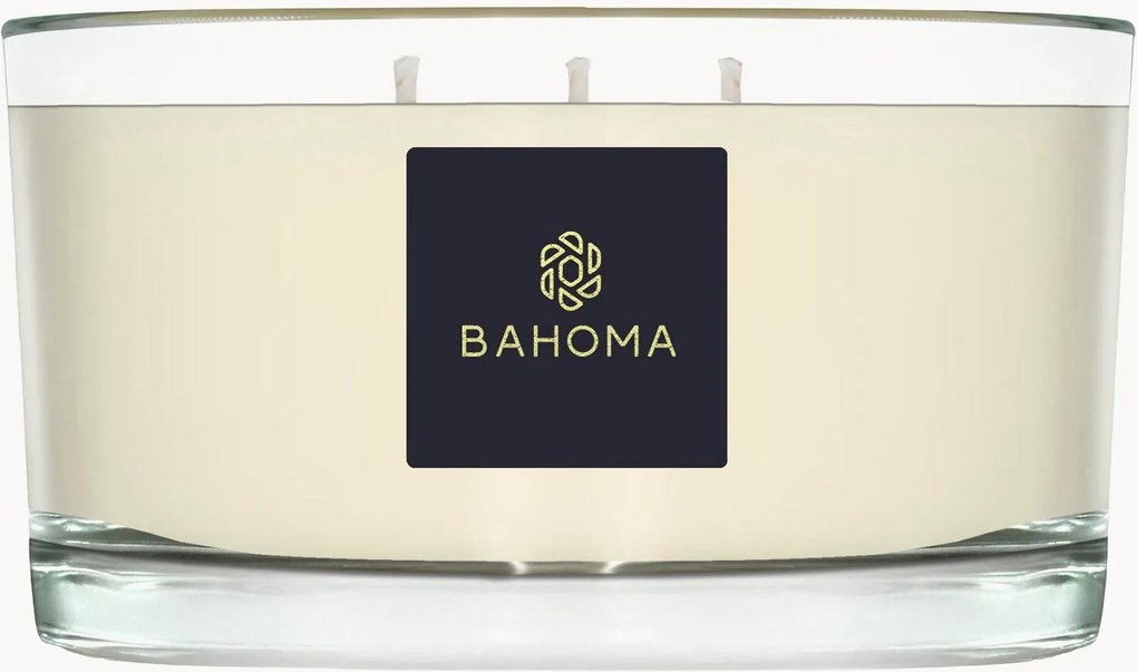 Handgemaakte 3-lonts geurkaars Alchemy (amber, salie)