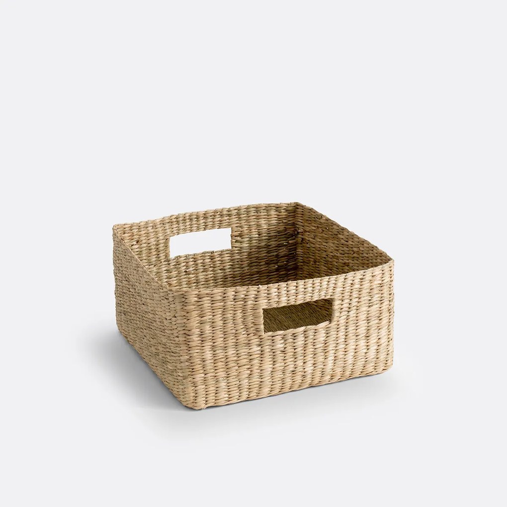 Mand in gevlochten herbarium, Nové