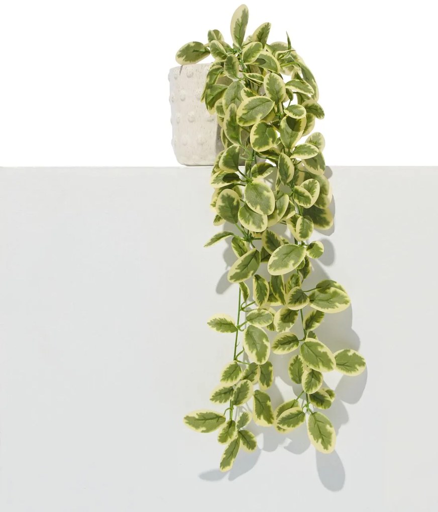 HEMA Kunstplant Maagdenplant (groen)