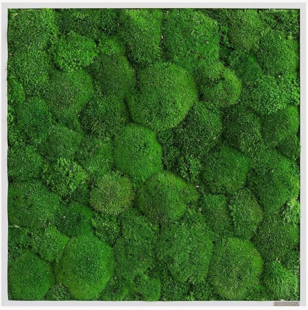 Handgemaakt bolmos wanddecoratie Forest, ingelijst