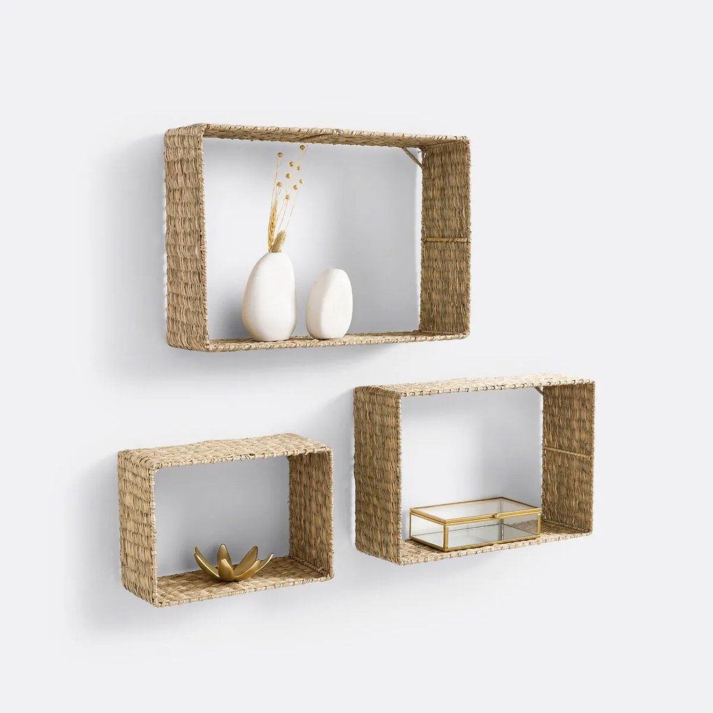 Set van 3 wandrekken in herbarium, Zuric