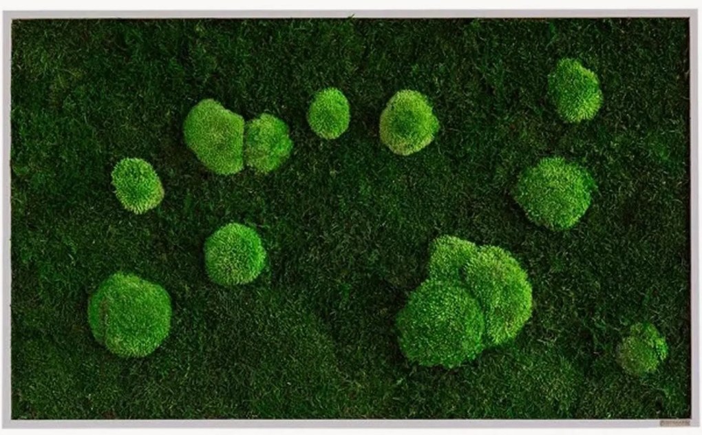 Handgemaakte mos- en bolmoswandprint Wild, ingelijst