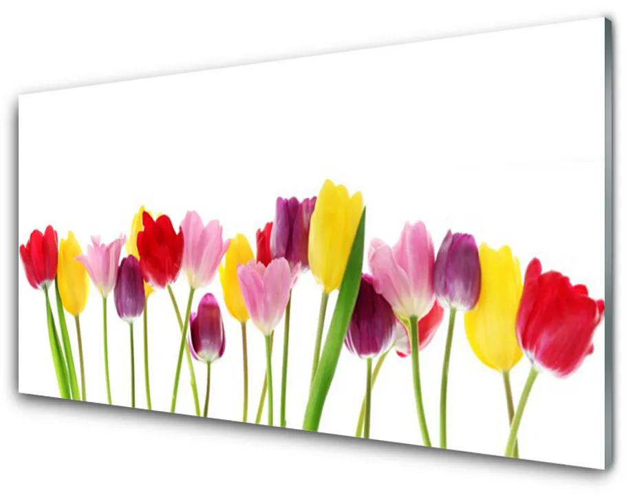 Glas schilderij Tulpen bloemen plant 100x50 cm