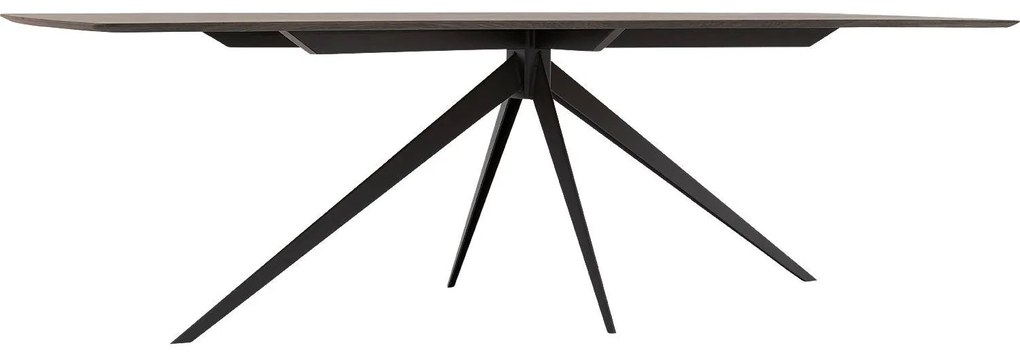 Goossens Excellent Eettafel Uniek, Semi rechthoekig 260 x 100 cm