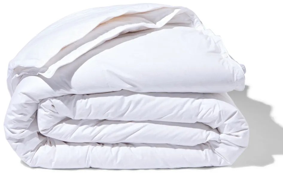 HEMA 4 Seizoenen Dekbed Dons - 240x220 (wit)