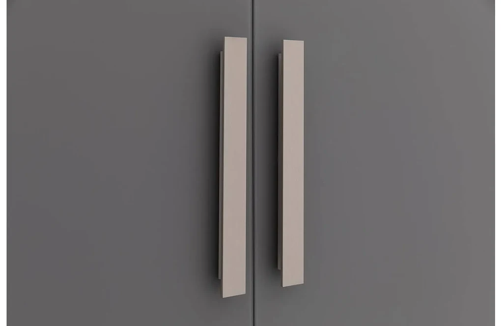 Goossens Kledingkast Easy Storage Ddk, Kledingkast 203 cm breed, 220 cm hoog, 2x glas draaideur en 2x spiegel draaideur midden