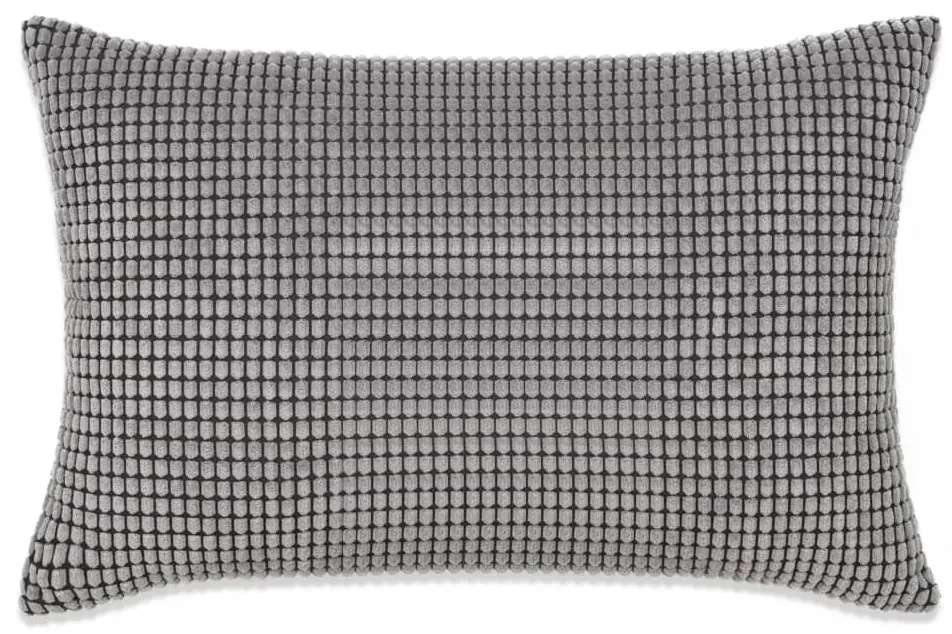 vidaXL Sierkussenset 40x60 cm velours grijs 2-delig