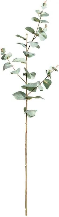 Eucalytus tak - groen - 68 cm - Leen Bakker