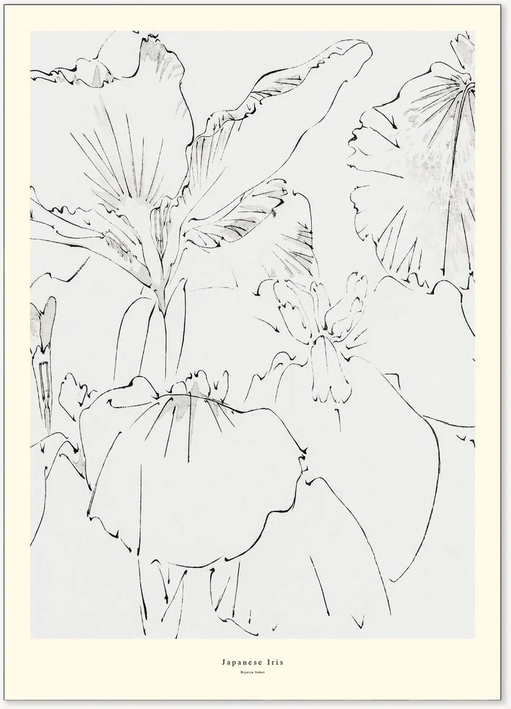 Poster Japanese Iris
