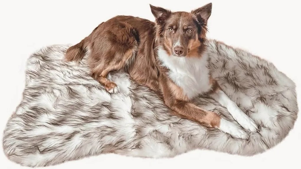 Orthopedisch hondenbed Relax