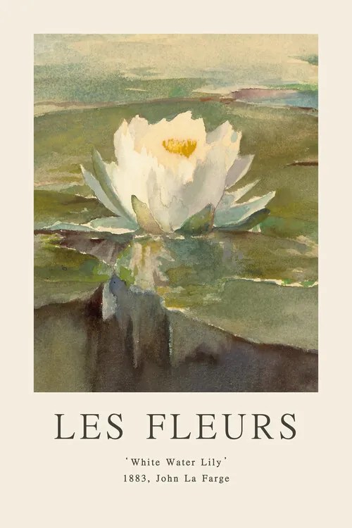 Kunstreproductie White Water Lily (Les Fleurs / The Flower Collection)