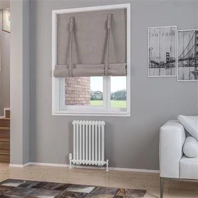 Eastbrook Rivassa 2 koloms radiator 45x60cm staal 630W wit glans