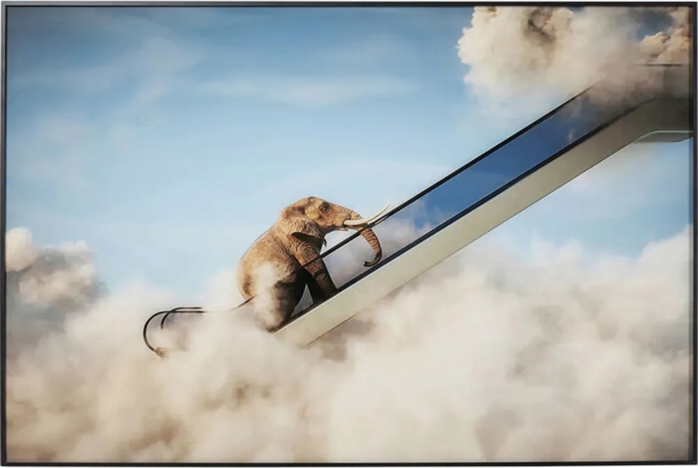 Schilderij Olifant Op Roltrap