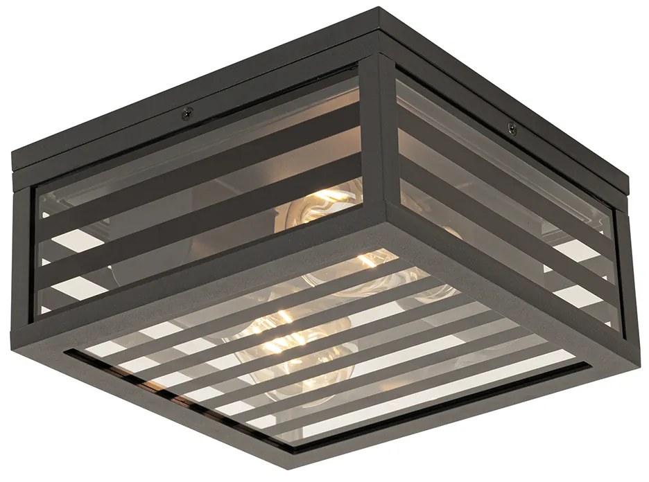 Moderne buiten plafondlamp zwart glas 2-lichts IP44 - Reims