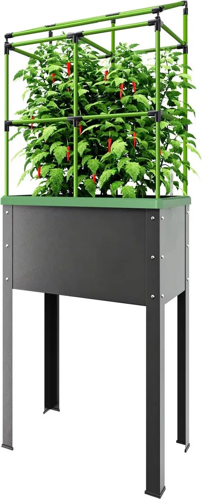 Bio Green City Jungle Kweekbak - 34 liter - Met irrigatiesysteem - Inclusief klimhulp