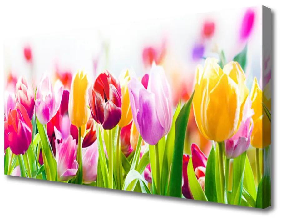 Schilderij op canvas Tulpen bloemen 100x50 cm