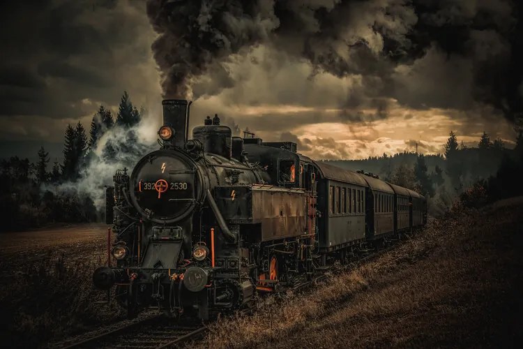 Foto Gold digger train, Hubert Bichler