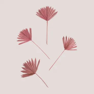 Set Van 4 Decoratieve Gedroogde Takken Urpek Roze – Pioen - Sklum