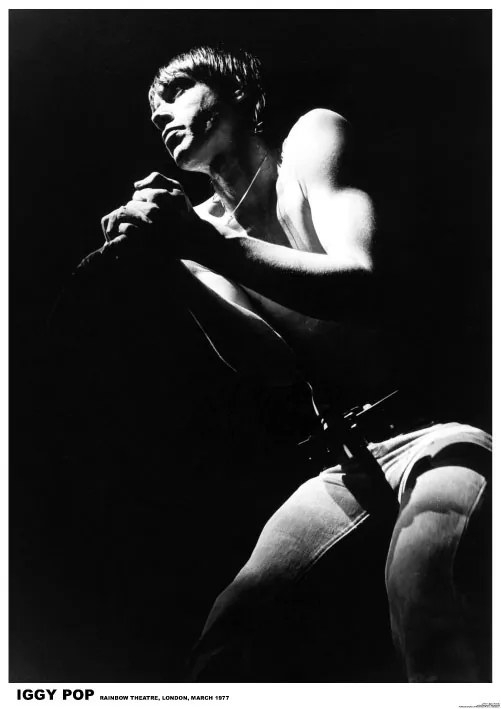 Poster IGGY Pop - London 1977