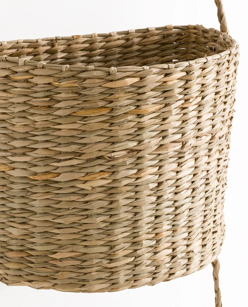 Hangende mandjes in herbarium, Cesta