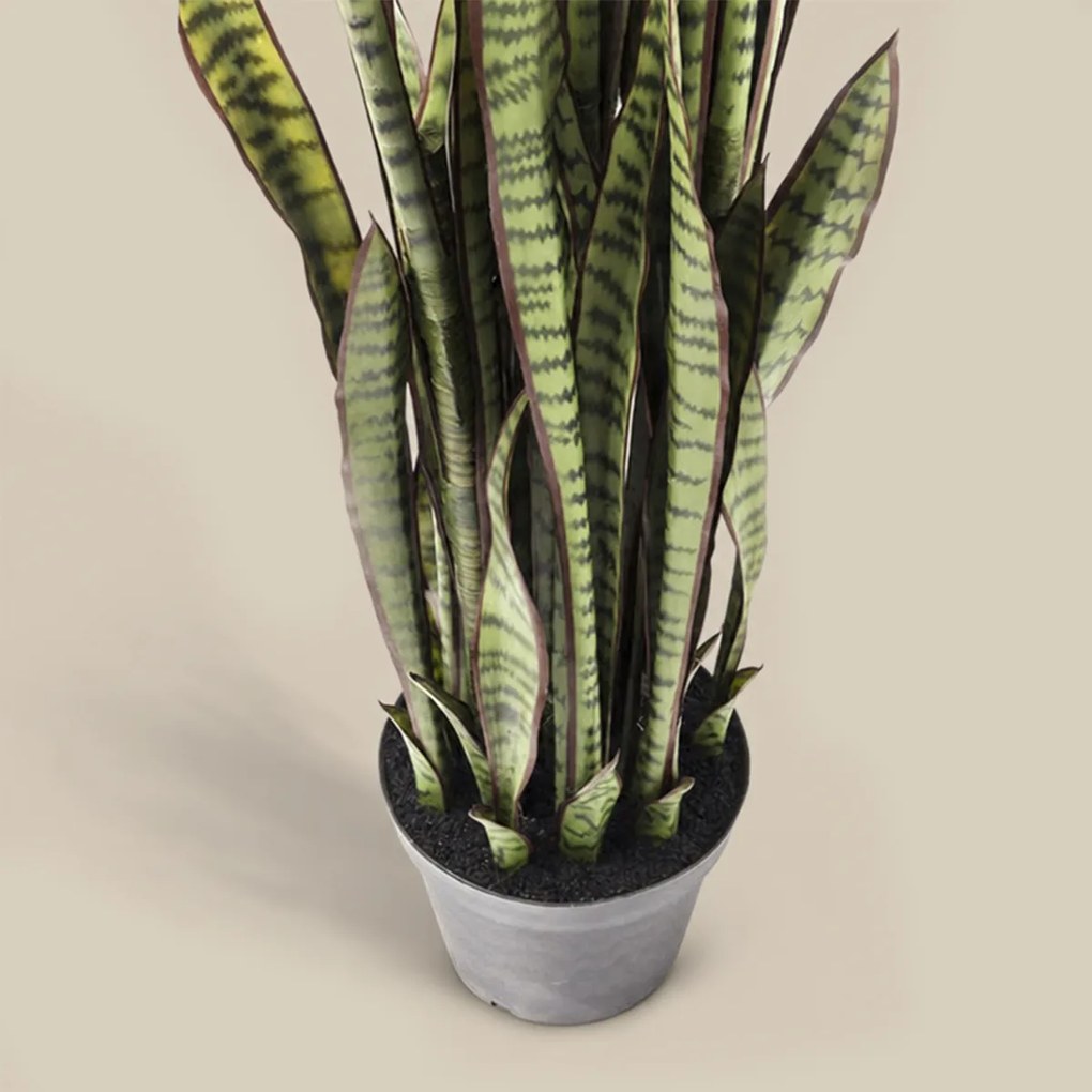 Deco Plant Vrouwentongen