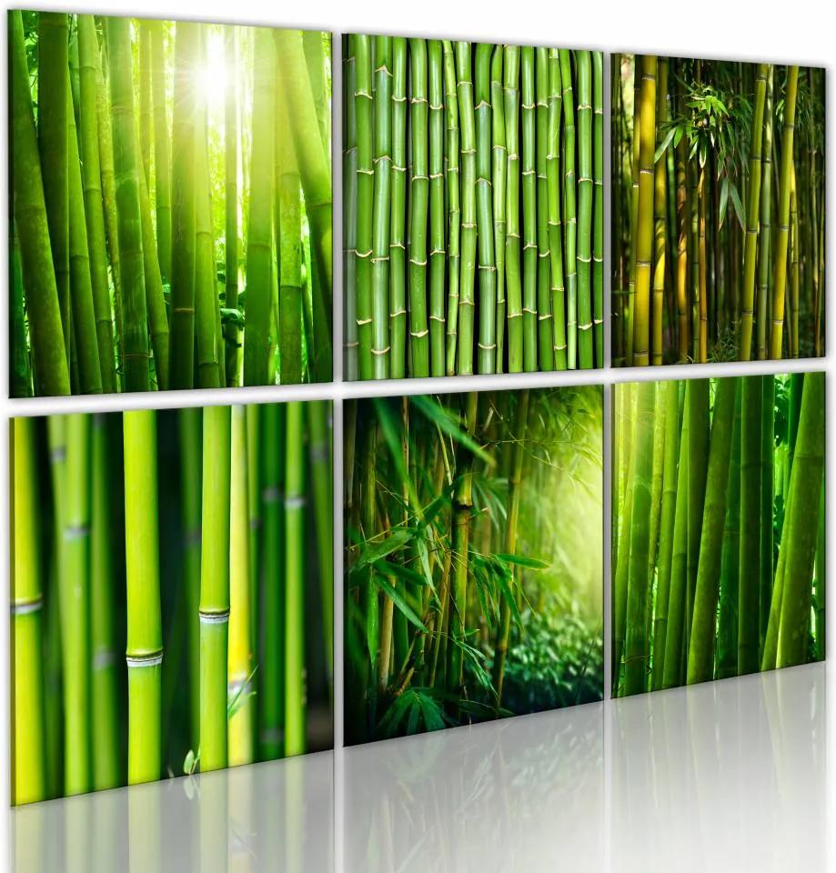 Schilderij - Bamboe Collage, Groen, 6luik