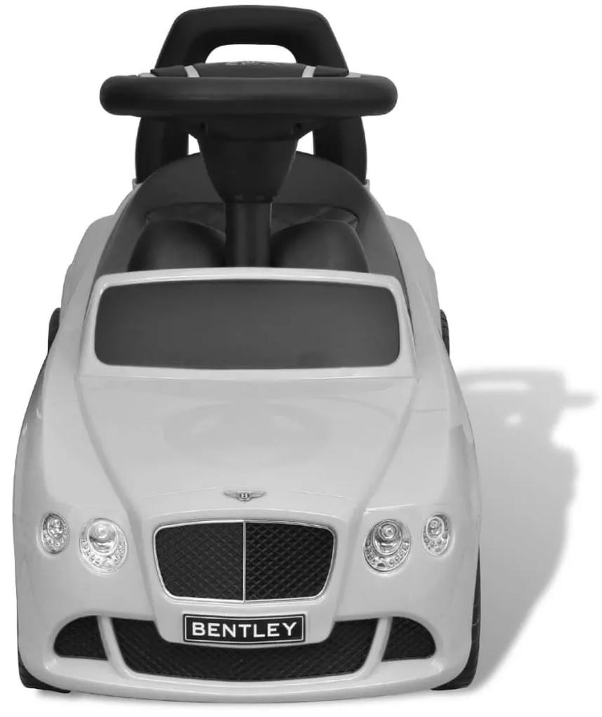 vidaXL Bentley loopauto wit