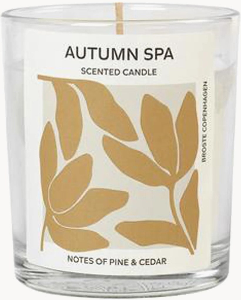 Geurkaars Autumn Spa (den & ceder)