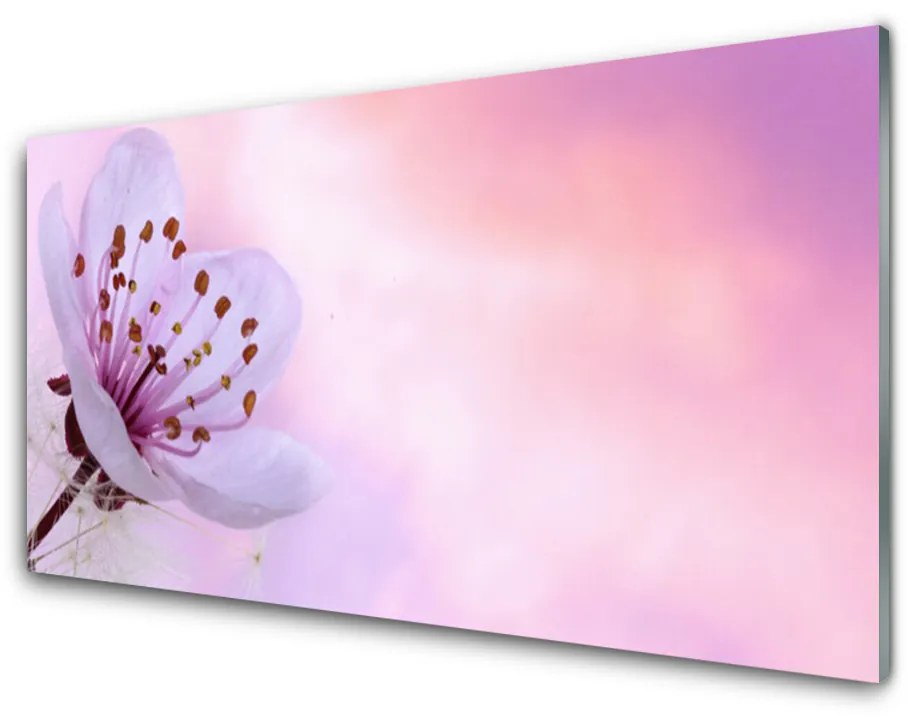 Glazen schilderij Natuur bloem plant 100x50 cm