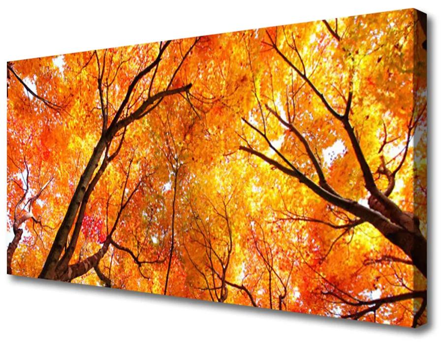 Schilderij op canvas Bomen natuur 100x50 cm
