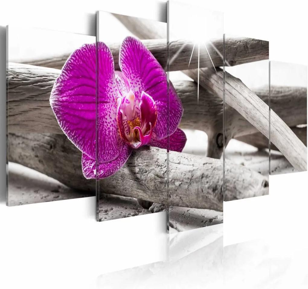 Schilderij - Paarse Orchidee op het strand , grijs , 5 luik