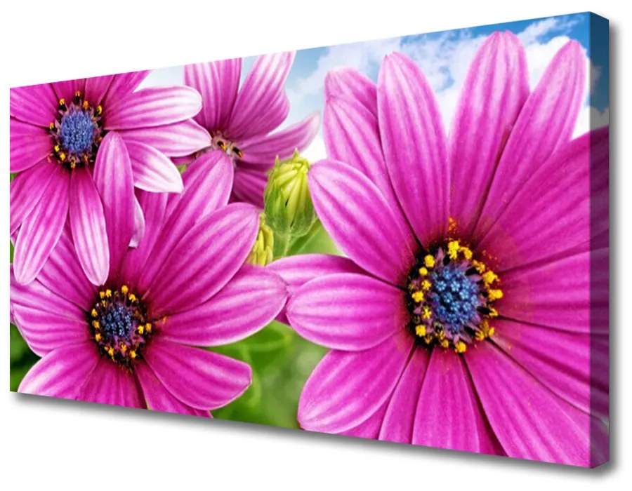 Canvas foto Flowers on the wall 100x50 cm
