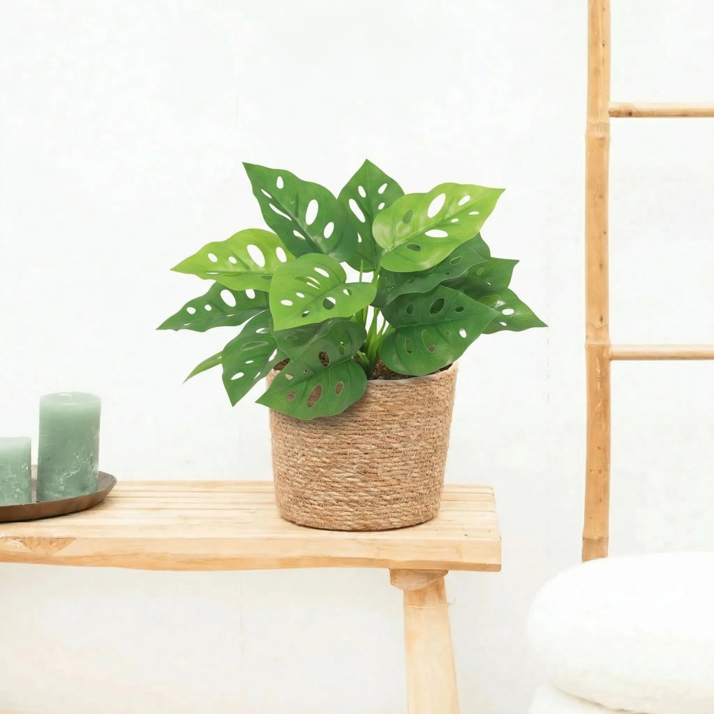 Kunst Philodendron birkin - 20cm