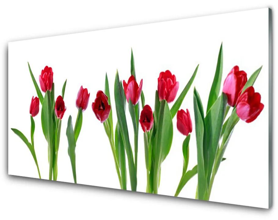 Plexiglas schilderij Tulpen bloemen plant 100x50 cm