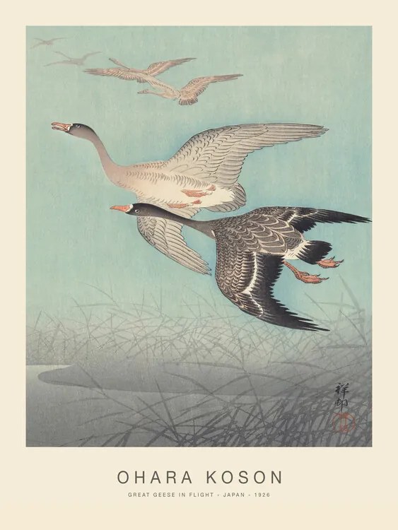 Kunstreproductie Great geese in flight (Special Edition) - Ohara Koson