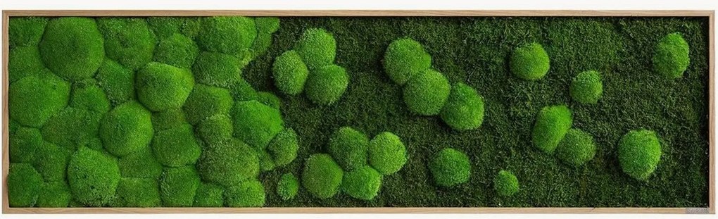 Handgemaakt wandbeeld Rain van bos- en bolmos, ingelijst