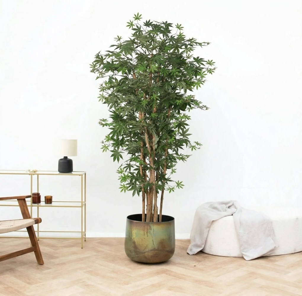 Kunst Acer palmatum - 180cm