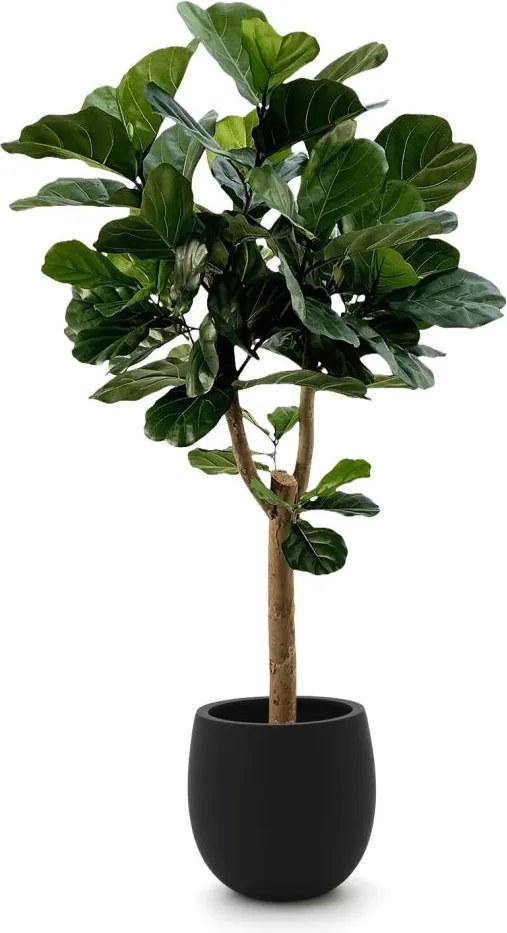 Kunstboom Designplants Luca Lifestyle | Groen Kunststof  | Inclusief bloempot | Geschikt voor buiten en binnen | Kees Smit Tuinmeubelen