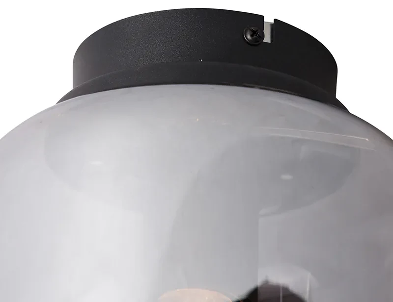 Design plafondlamp zwart met smoke glas - Bliss Design E27 rond Binnenverlichting Lamp