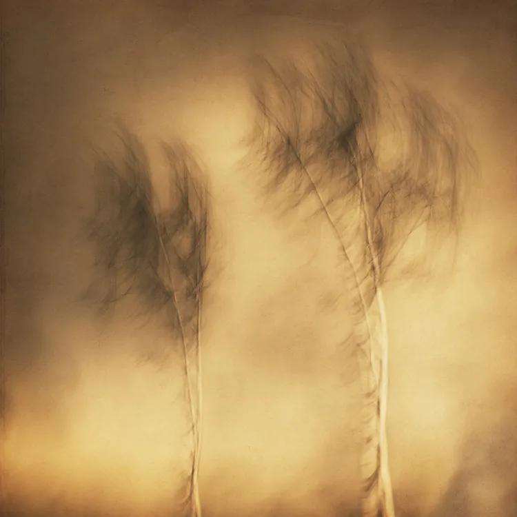 Fotobehang Wind, (128 x 128 cm)