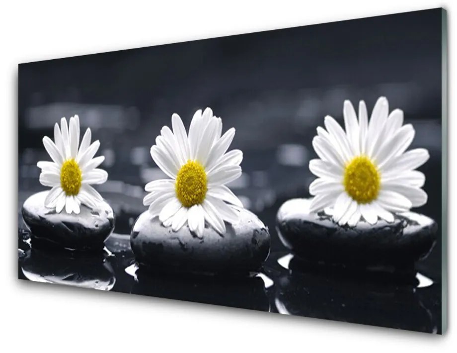 Glas schilderij Daisy stones plant 100x50 cm