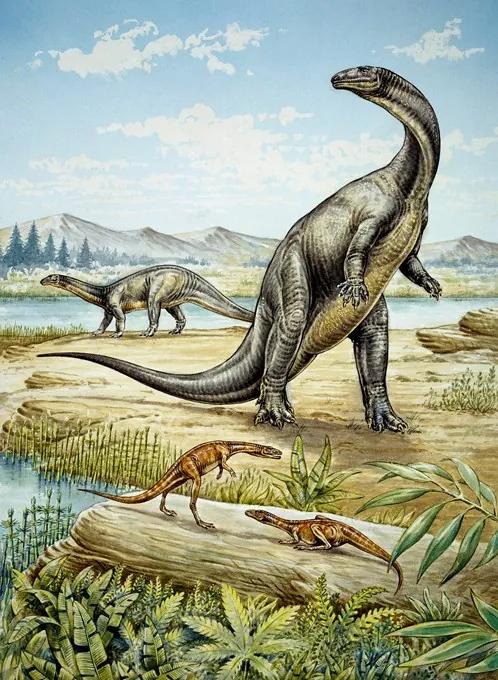 Upper Triassic dinosaurs