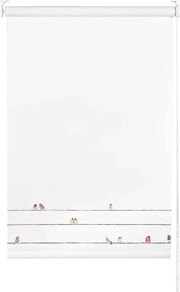 Rolgordijn verduisterend - vogels/wit - 150x190 cm - Leen Bakker