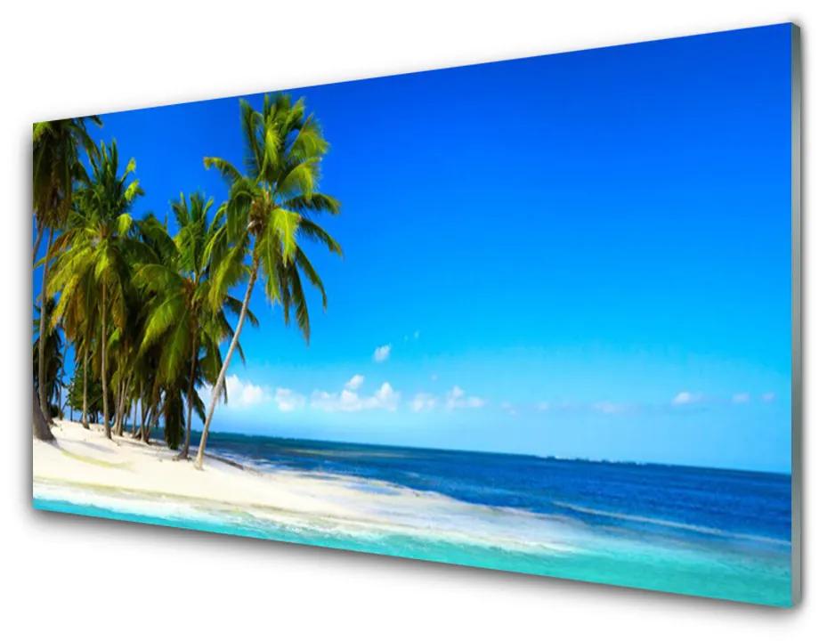 Glas schilderij Palm tree sea landscape 100x50 cm